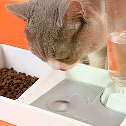Gamelle pour chat