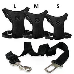 Equipement de transport pour chien