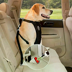 Equipement de transport pour chien