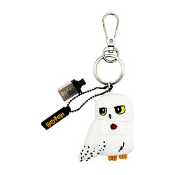 Wondee Clé USB 3.2 32GB Hedwige