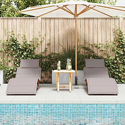 Avis vidaXL Chaise Longue - Ensemble de 2 Marron, Taupe