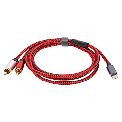 Câble Audio USB C vers 2 RCA Mâles
