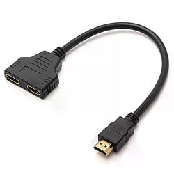 Convertisseur HDMI 1080P, séparateur à 2 ports
