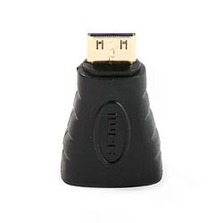 Adaptateur Mini HDMI Vers HDMI