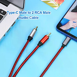 Avis Câble Audio USB C vers 2 RCA Mâles
