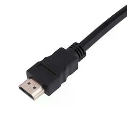 Câble HDMI mâle vers VGA 30cm