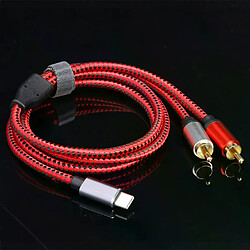 Câble Audio USB C vers 2 RCA Mâles
