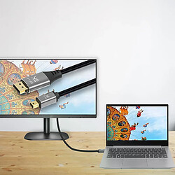 Avis Câble DP vers Mini DP - 4K 144Hz