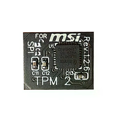 TPM 2.0 Module - 12 broches - Pour MSI
