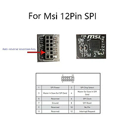 TPM 2.0 Module - 12 broches - Pour MSI