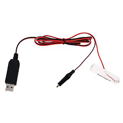 Avis Éliminateur de piles AA USB 3V-12V