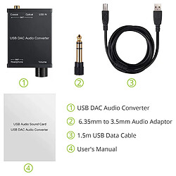 Convertisseur Audio USB DAC pour Windows