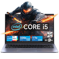 VANWIN Ordinateur portable Intel ® Core ™ I5 1240P (jusqu'à 4.4HZ) DDR4 32GB RAM 1TB SSD WINDOWS 11 PRO Space Grey PC Portable