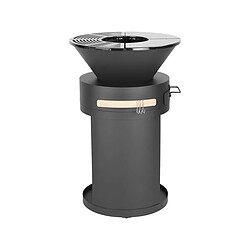 Acheter Habitat Et Jardin Barbecue plancha brasero a charbon et bois [ ]Cesar[ ] - 49 x 49 x 92 cm - Noir