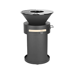 Acheter Habitat Et Jardin Barbecue plancha brasero a charbon et bois Cesar - 49 x 49 x 92 cm - Noir
