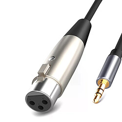 Avis Câble adaptateur XLR vers jack 3,5 mm - Argent