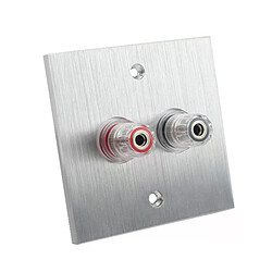 Avis Plaque murale connecteur banane - Aluminium