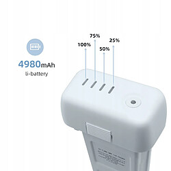 Acheter ELE ELEOPTION Batterie - 15,2 V 4980 mAh - DJI Phantom 3