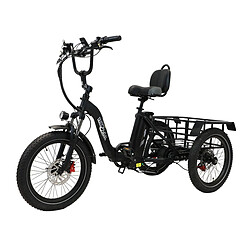 Onesport OT30 Vélo électrique à Trois Roues - 500W 48V13AH - Noir