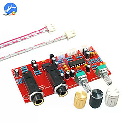 Panneau amplificateur microphone PT2399 - Noir