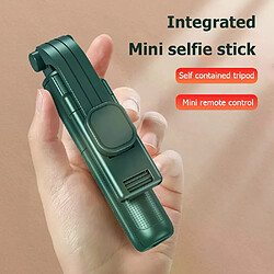 Avis Bâton de selfie sans fil - Vert/Noir