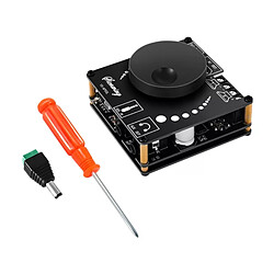 Module d'amplification hifi Bluetooth - Noir