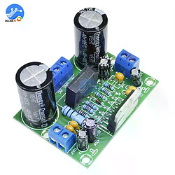 Panneau amplificateur hifi TDA7293 - Vert Panneau amplificateur hifi - Bornier entrée et sortie - Module audio