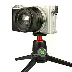 Avis Stabilisateur de caméra à tête sphérique