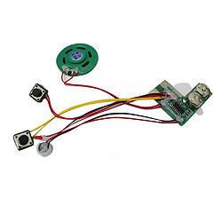 Module enregistrement vocal carte de vœux - Noir