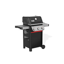 Avis Weber Spirit E-310