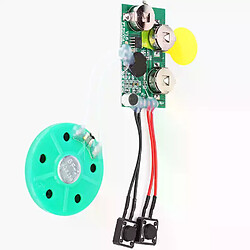 Module audio carte de vœux 60 s - Vert