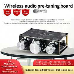 Amplificateur Bluetooth 5.1 - Noir