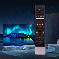 Avis Télécommande TV HTR-U27E - Marron