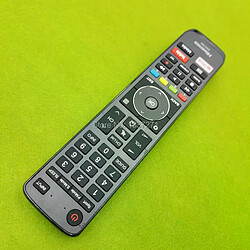 Avis Télécommande TV Hisense EN3Y39H - Gris
