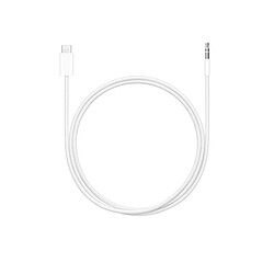 Câble audio Apple USB C vers Jack 3,5 mm 1,2 m Blanc