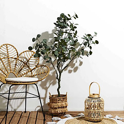 Avis The Home Deco Factory Eucalyptus Artificiel