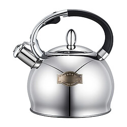 Bouilloire siffleuse YR492765 - 3 L