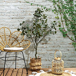 The Home Deco Factory Eucalyptus Artificiel
