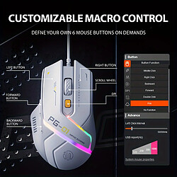 Souris