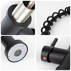 ZMH Robinet de cuisine noir robinet douche extensible pivotant cuisine salle de bain pas cher