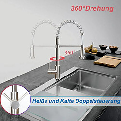 Avis ZMH Robinet de cuisine noir robinet douche extensible pivotant cuisine salle de bain