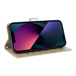 Acheter Moto G15 Puissance Flip Étui Doré