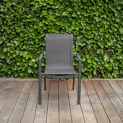 Wilsa Garden BlackStar