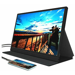 Ecran PC Denver Electronics
