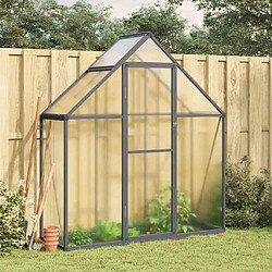 vidaXL Serre avec cadre de base anthracite 169x58x195 cm aluminium