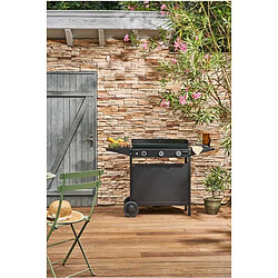 Acheter Forge adour Plancha gaz