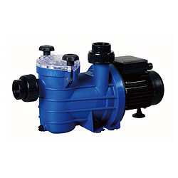 JARDIéco Pompe Série HPS 1,50 CV / 22 m³/h Mono - Hydroswim