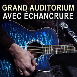 PYLE Guitare Acoustique 104 cm Pour Débutants