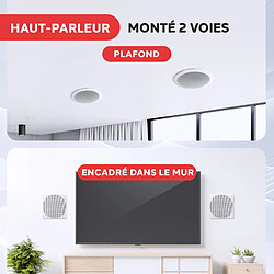 Avis Pyle haut-parleur mur/plafond - Blanc
