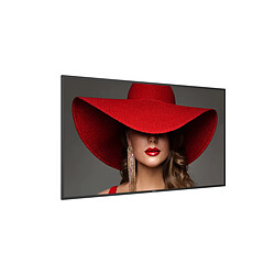 Philips 65" LED - D-Line